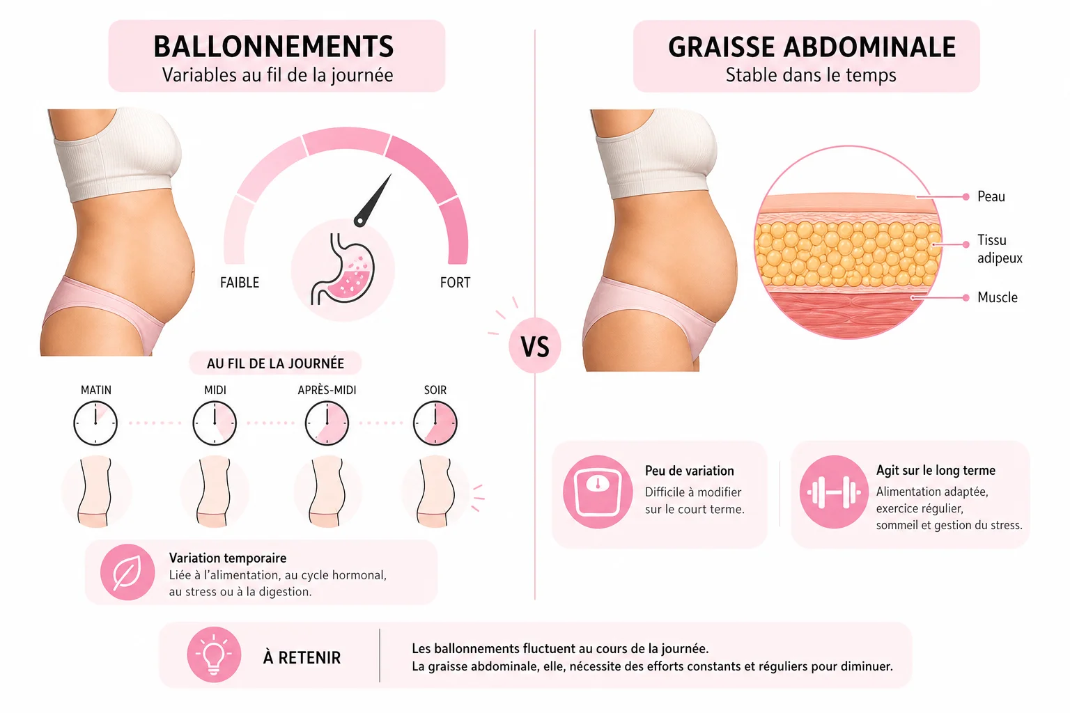 Différence entre ballonnements et graisse abdominale expliquée en infographie